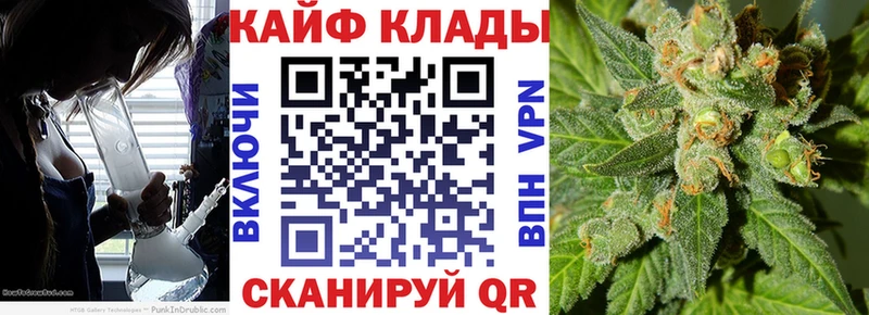 Купить наркоту Нововоронеж Конопля СК ГАШ COCAIN
