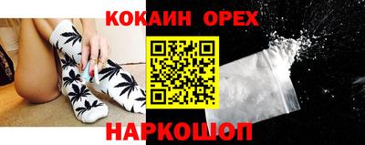 стафф Дубна