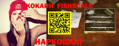 стафф Дубна