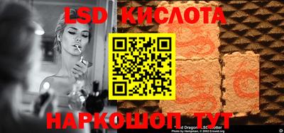 стафф Дубна