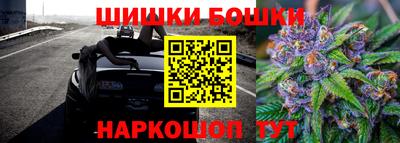 стафф Дубна