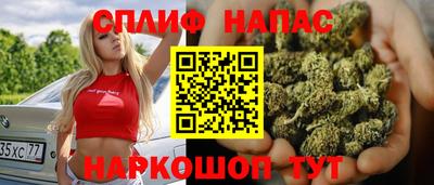 стафф Дубна