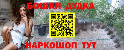 стафф Дубна