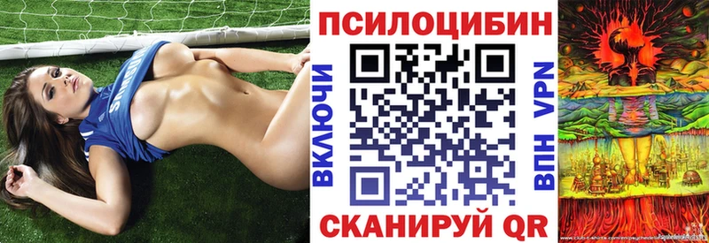 Псилоцибиновые грибы GOLDEN TEACHER  где найти наркотики  Нововоронеж 