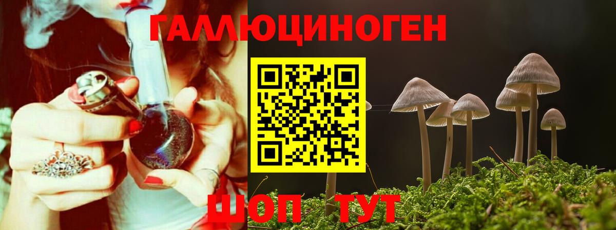 Нововоронеж  Галлюциногенные грибы Psilocybine cubensis  Вход с VPN 